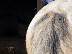 Als ik de lotion gebruik is de jeuk helemaal weg! 